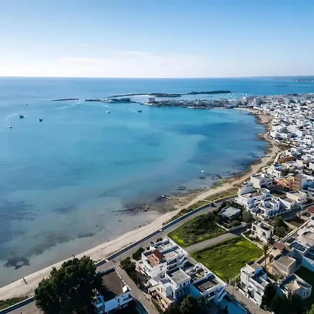 Areon - Coastal *