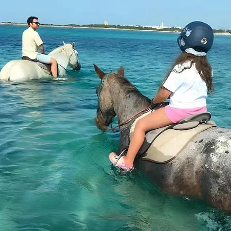 Areon - Coastal Porto Cesareo